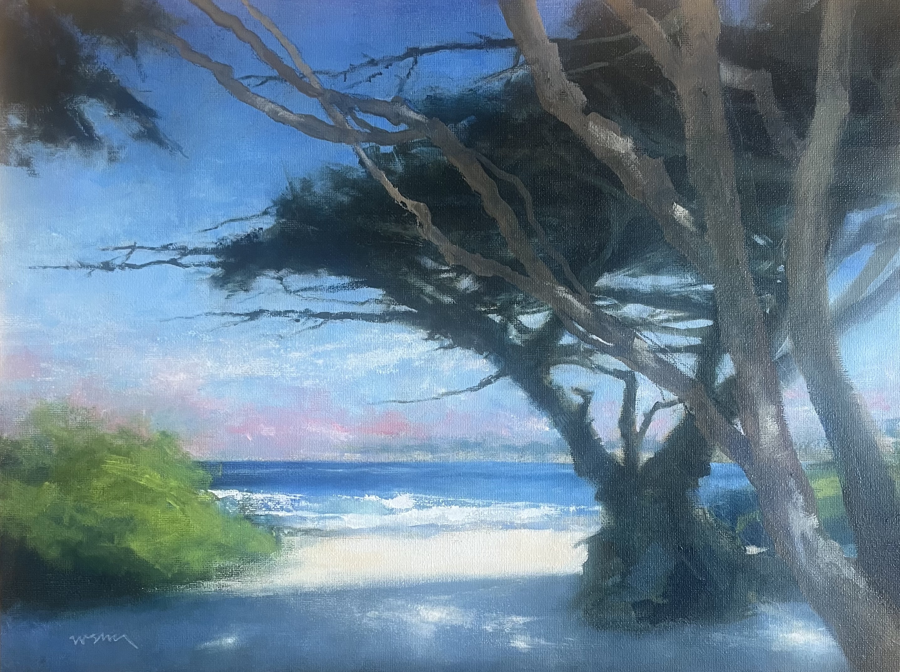 Misty Morning, Carmel Beach